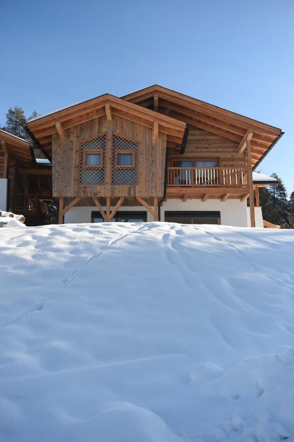 Les Ciases Chalets Dolomites Сан-Виджилио-ди-Мареббе Экстерьер фото
