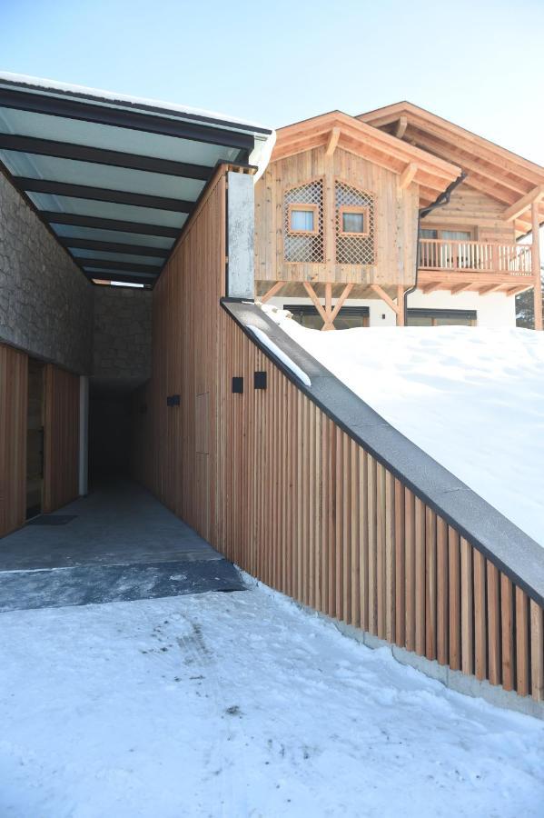 Les Ciases Chalets Dolomites Сан-Виджилио-ди-Мареббе Экстерьер фото